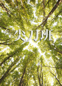 水果派青梅还是竹马讲解